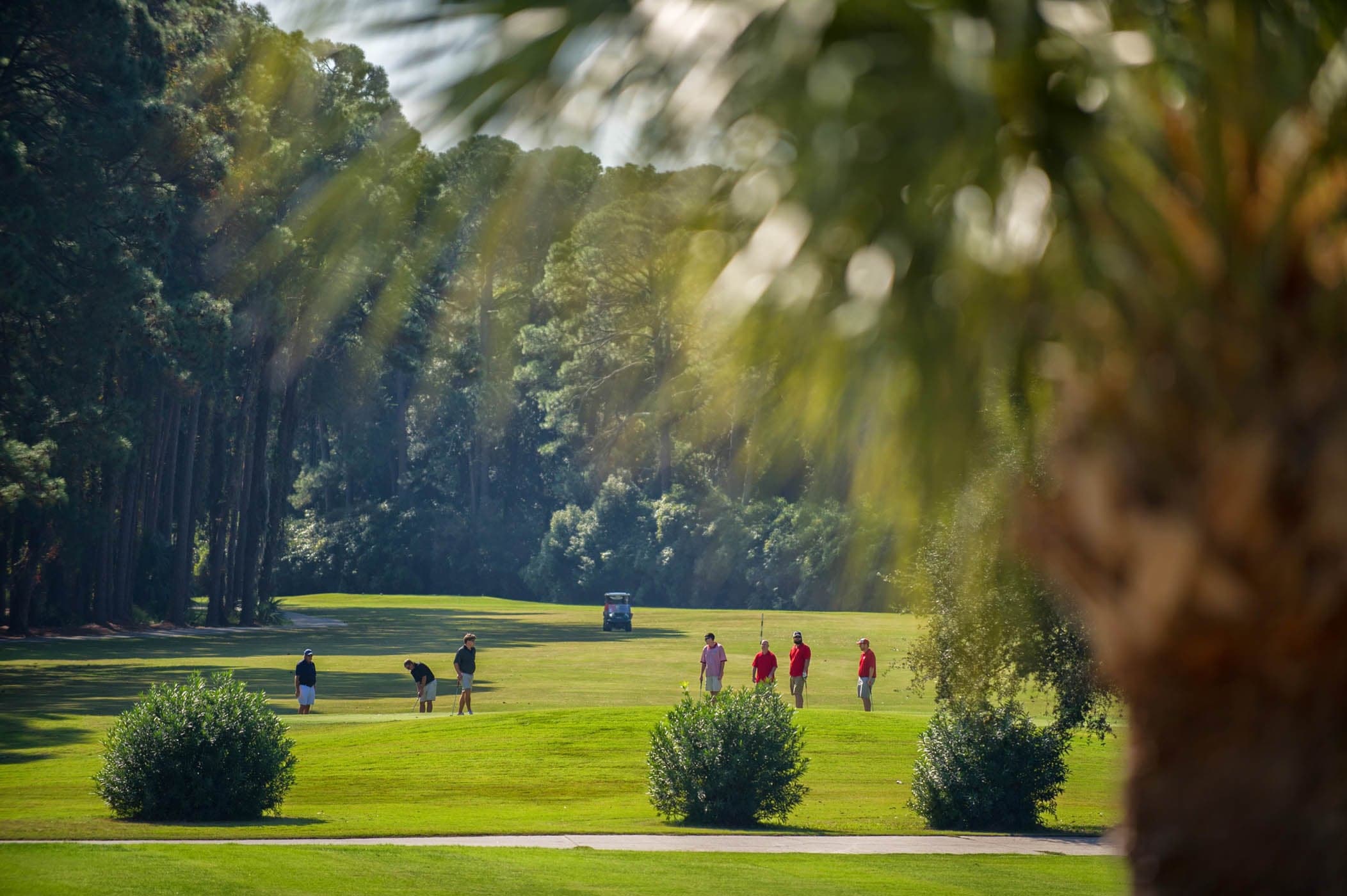 A group of golfers in the distance on the fairway