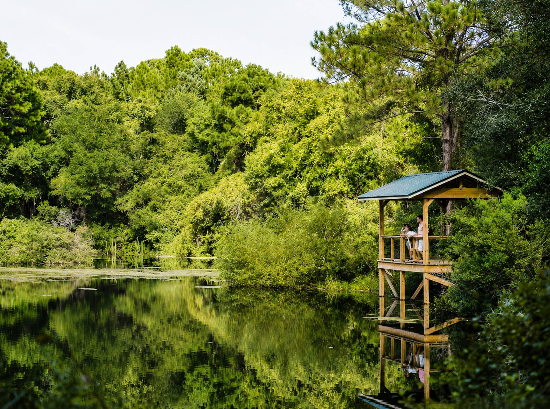 2 people overlooking Hortons Pond