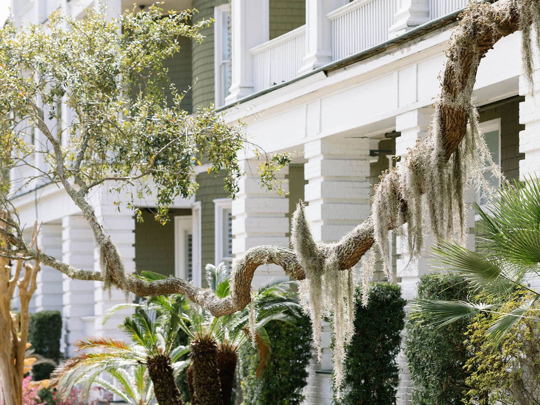 The exterior of Sans Souci