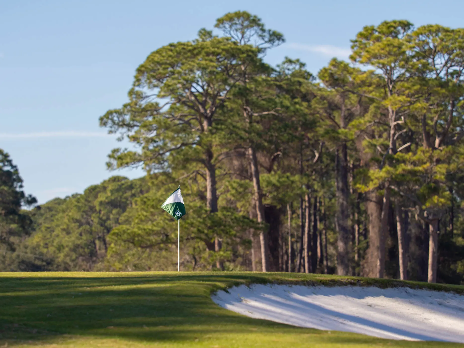 A pin flag and sand bunker on the golf course