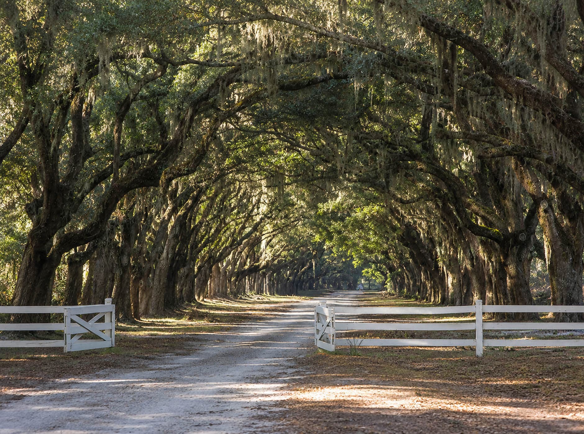 Hofwyl Broadfield Plantation