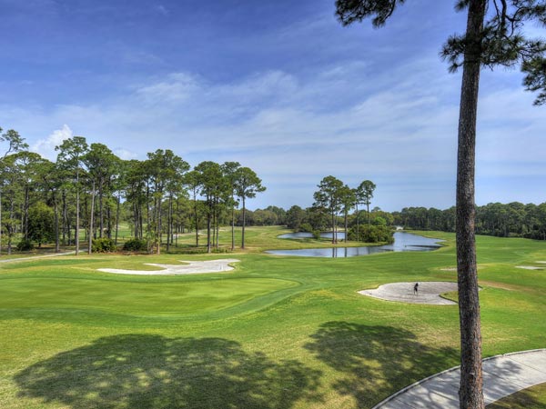 Golfing On Jekyll Island.