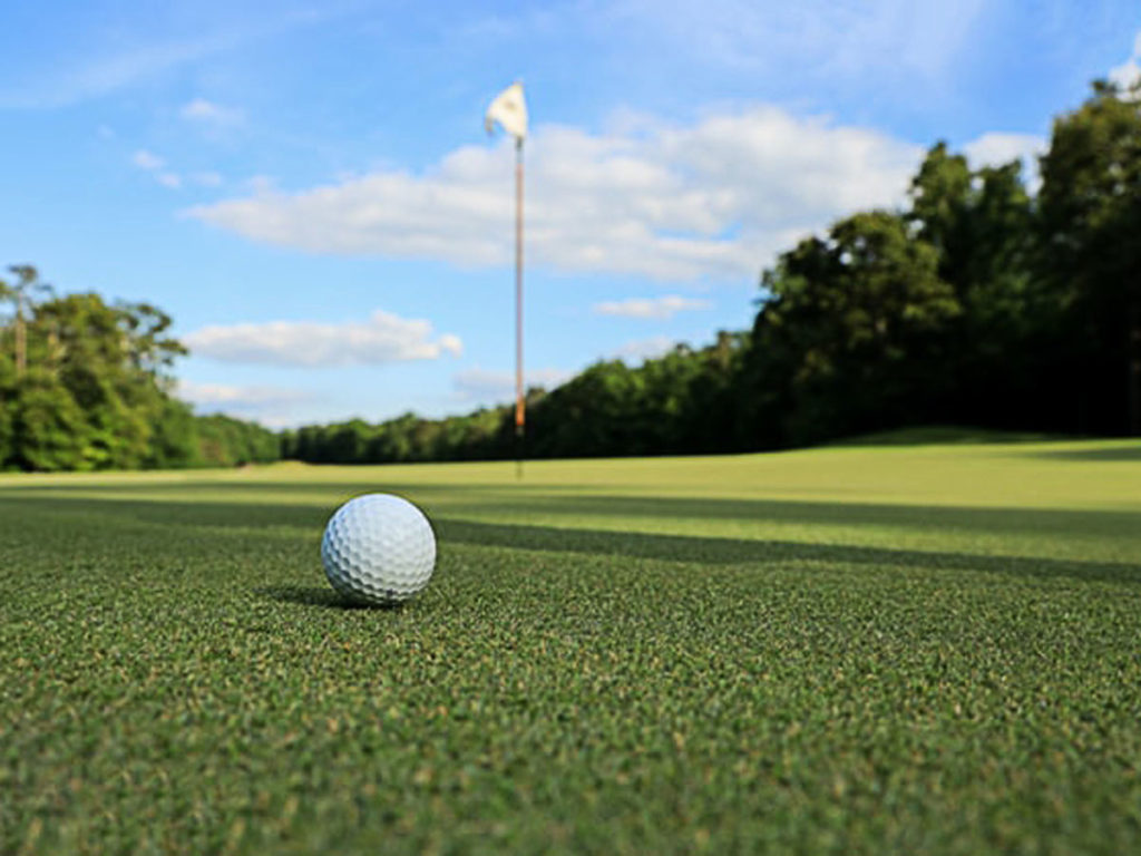 Golf Ball On The Grass.