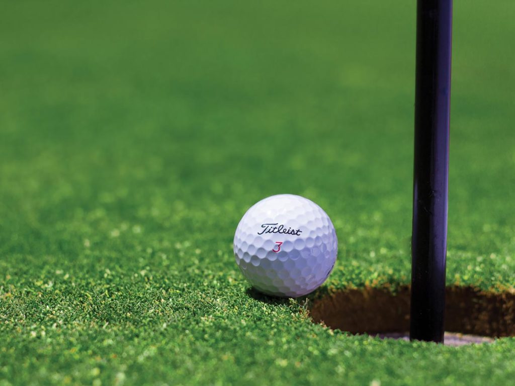 Golf Ball By The Hole.