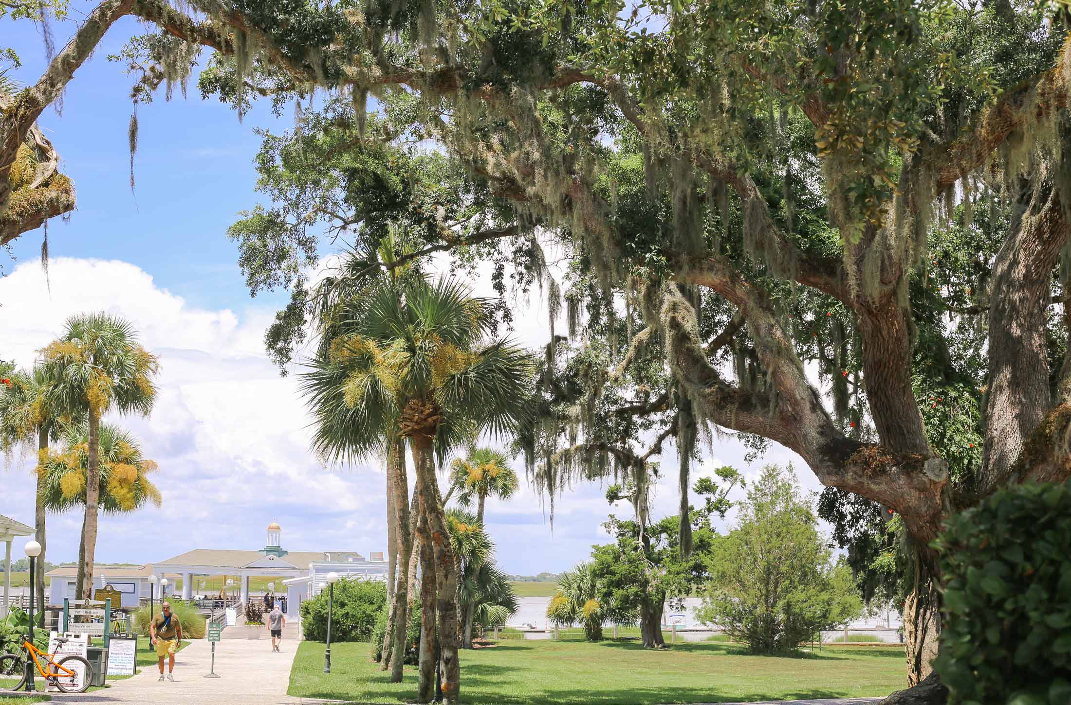 Jekyll Island Activities