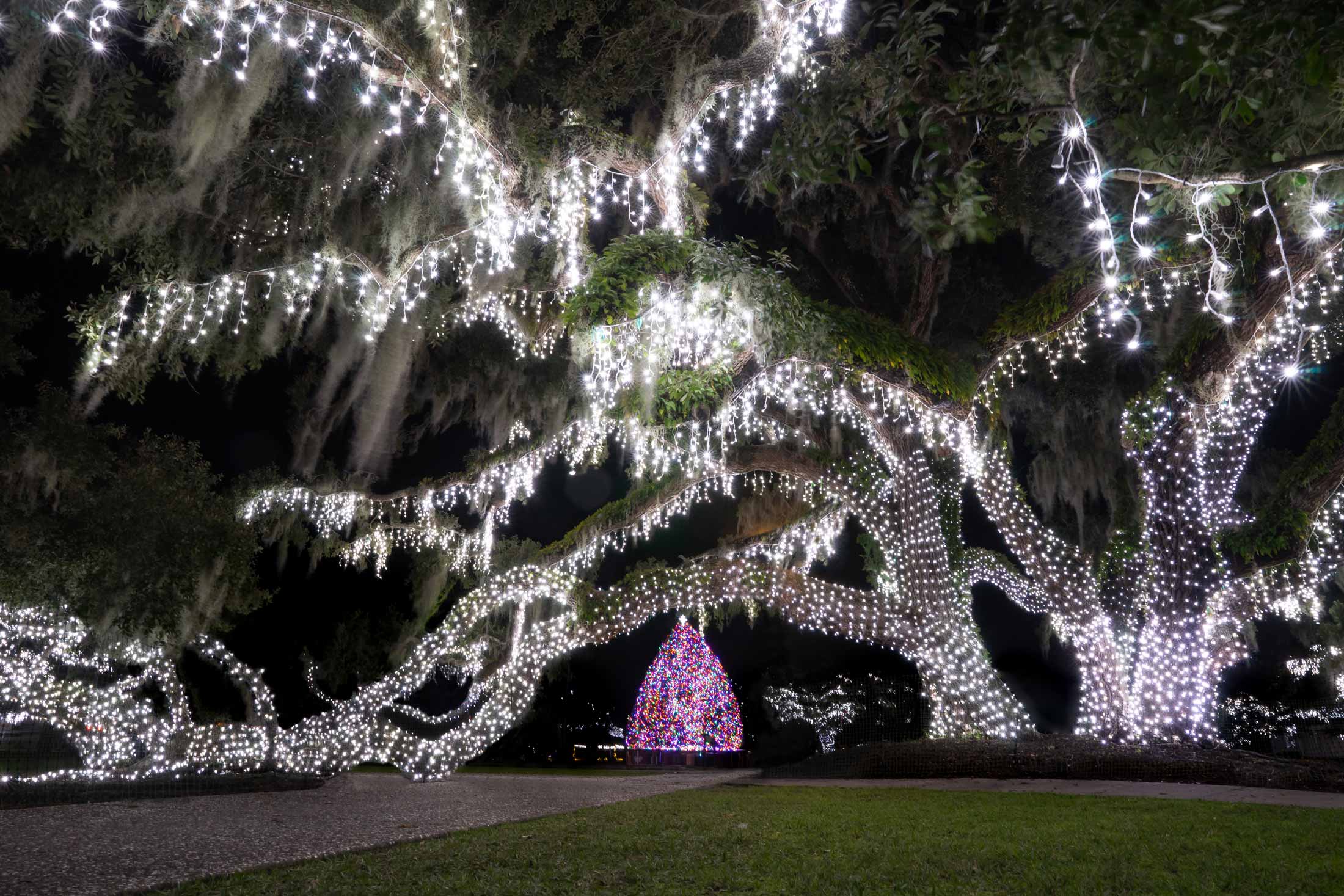 Holly Jolly Jekyll Jekyll Island Christmas