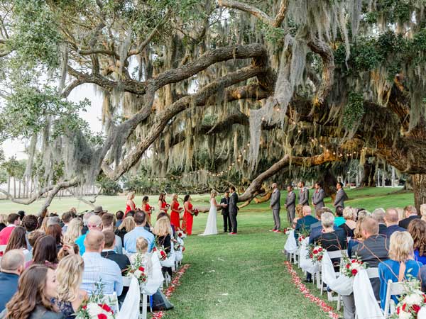 Wedding Under The Tree.