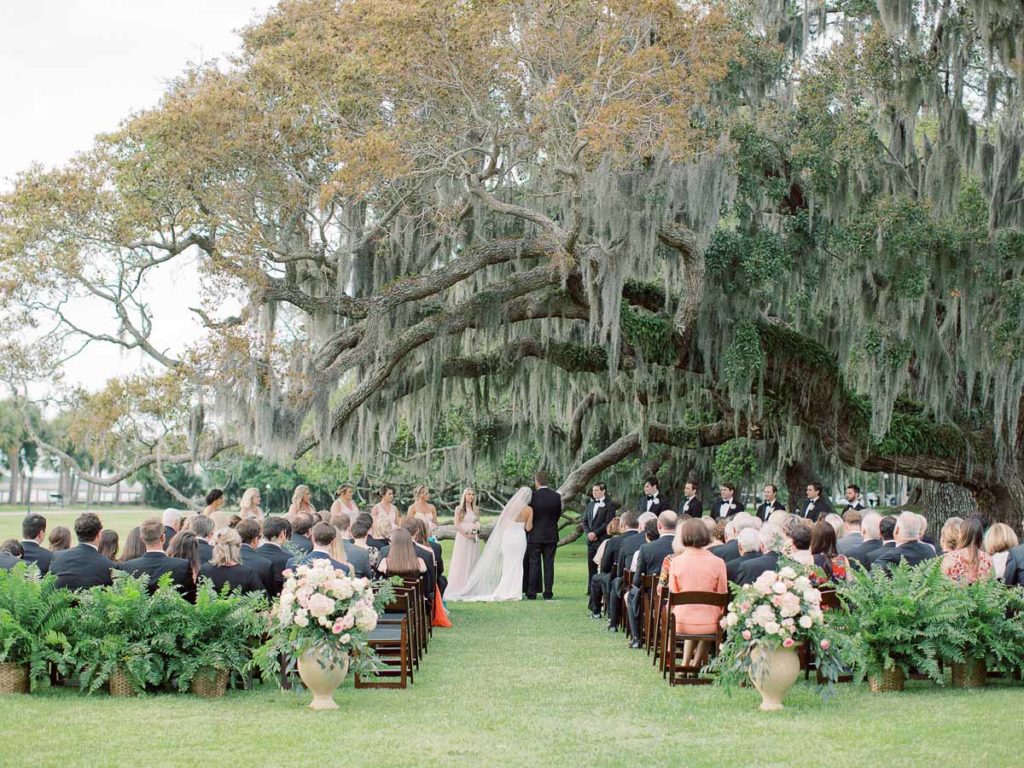 Wedding Under A Tree.
