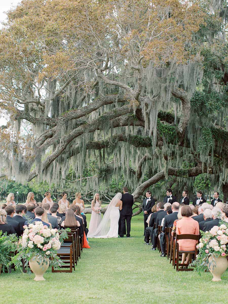 Wedding Under A Tree.