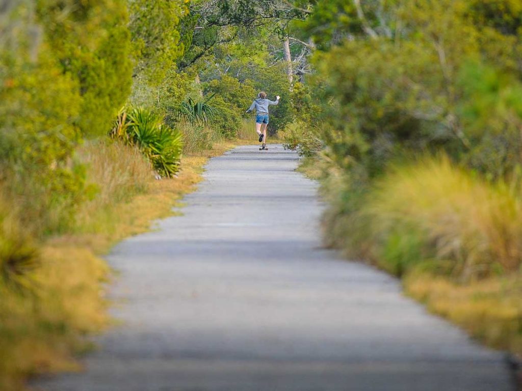 Skate Boarder On A Path.