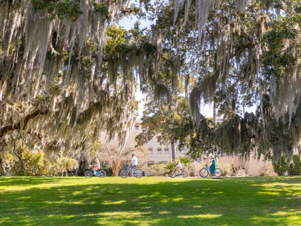 Family Biking Under The Willow Trees.